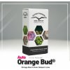 DUTCH PASSION Orange Bud® AUTO semena neobsahují THC 3 ks