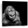 Sablio Obraz Orangután - 50x50 cm