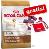 Royal Canin Yorkshire Terrier Adult 2 x 7,5 kg