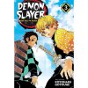 Viz Media Demon Slayer: Kimetsu no Yaiba 3