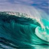AK AV 11 OCEAN
