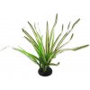 Repti Planet rastlina Spartina 30 cm