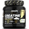 Amix Black Line Creatine Creapure 300 kapsúl