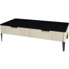 Kúpeľňová skrinka nízka Devo Lotos krémovo biela/čierna 110 x 31 x 53 cm LF-SZS2SN110x31-F98