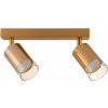 Zuma Line Ren stropné svietidlo 2x50 W zlatá OB-2211BD-2-GLD