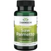 Swanson Saw Palmetto, 540 mg, 100 kapsúl