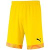 Puma cup