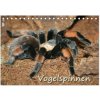 Vogelspinnen (Tischkalender 2026 DIN A5 quer), CALVENDO Monatskalender