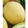 Melón Oliwin 2g veľmi skoré semená PNOS