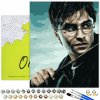 MAĽOVANIE PODĽA ČÍSEL Harry Potter - Obrázky na maľovanie podľa čísel s rámom