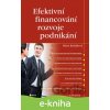 E-kniha Efektivní financování rozvoje podnikání - Mária Režňáková