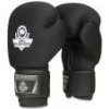 DBX-B-W EVERCLEAN 10 OZ BOXERSKÉ RUKAVICE DBX BUSHIDO