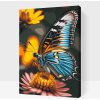 Vymalujsisam.sk Maľovanie podľa čísiel - Motýľ na kvetine Veľkosť: 20x30cm, Rám: Na kartónovej doske