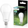 LED žiarovka E27 A95 24W = 200W 3452lm 6500K studená biela 260° LUMILED