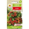 Paradajka kríčková Vilma Semená Toraf 0,3g