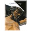 Krížové cesty - Sivoň Marián
