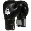 Boxerské rukavice DBX BUSHIDO B-2v9