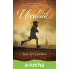E-kniha Učedník - Jon Echanove