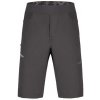 Pánske lezecké šortky Direct Alpine Solo Short anthracite L