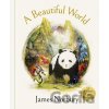 A Beautiful World - James Norbury