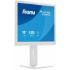 iiyama 19