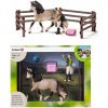 Schleich 42270 Set starostlivosť o kona Andalúzského