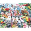 Puzzle Veselé vtáky z celého sveta CZ 5
