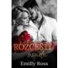 Rozcestí osudu - Emilly Ross