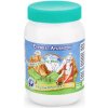 EVEREST AYURVEDA Chyawanprash zdravie a imunita nutričný elixír 300 g (Nutričný bylinný džem pre optimálnu činnosť imunitného systému.)