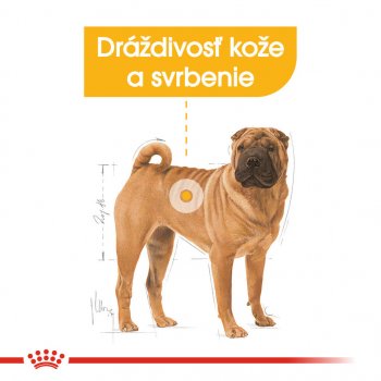 Royal Canin Medium Dermacomfort 10 kg