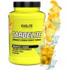 Carbo prášok Evolite Nutrition CarbElite, ananásová príchuť, 1500 g, 1 ks