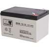MW POWER 12V 12Ah
