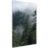 Vertikálny foto obraz sklenený Hmla nad lesom 50x100 cm