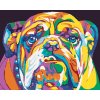 ZUTY Maľovanie podľa čísel FAREBNÝ BULLDOG Rámovanie bez rámu a bez vypnutia plátna Rozmer 80 x 100 cm