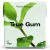 True Gum prírodná žuvačka bez cukru s príchuťou mäty