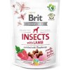 Brit Care Dog Insects with Lamb & Raspberries 200 g