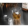 014338 DR Kovové kocky do nápojov 4ks - hracia kocka