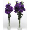 LISIANTHUS, CUT FLOWER DOUBLE, ABC 3 PURPLE, 1000 semien