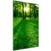 Vertikálny foto obraz akryl do obývačky Slnko v parku 50x100 cm