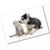 Kuchynská doska zo skla Pes a mačka 80x52 cm