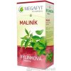 MEGAFYT Bylinková lekáreň OSTRUŽINA MALINOVÁ, 20x1,5g