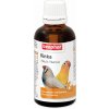 Kvapky Beaphar vitamínové Vinka 50ml
