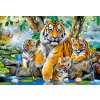 CASTORLAND Puzzle Tigre pri rieke 1000 dielikov (104413)
