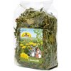 JR Farm pochúťka pre hlodavce snack púpava 100 g