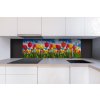 DIMEX | Dibond doska za kuchynskú linku | DBW-18060-131 Pole tulipánov | 180 x 60 cm + Dibond obkladová doska Dimex do kuchyne Pole tulipánov v rozmere 180 x 60 cm