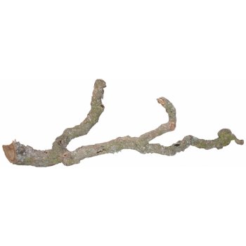 Lucky Reptile Tronchos korkové vetvy 40-60 cm 1 ks