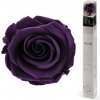 Darčeková stabilizovaná ruža - fialová