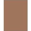 Inebrya Color BEIGE 8/13 Light Blonde Golden 100 ml