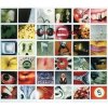 Pearl Jam, No Code, CD