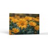 Príroda Žiara kvetín | Obrazy Vintessia Rozmery obdĺžnik: 20x30